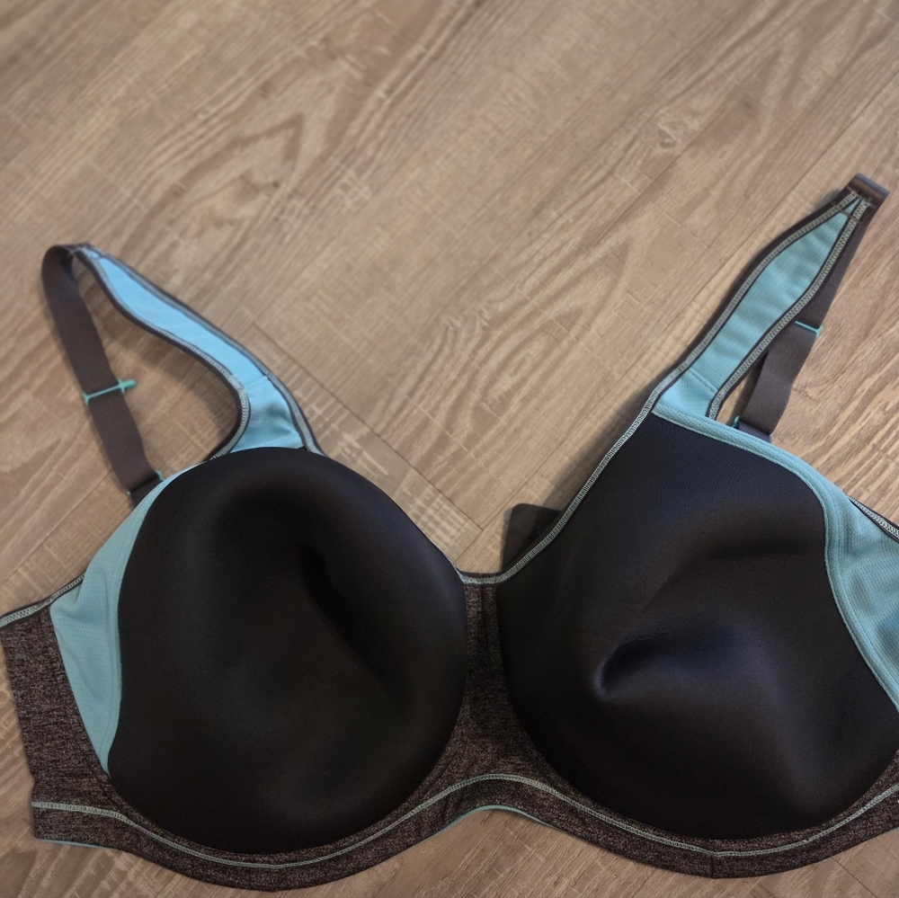 Freya 40G Black and Blue Bra NWOT